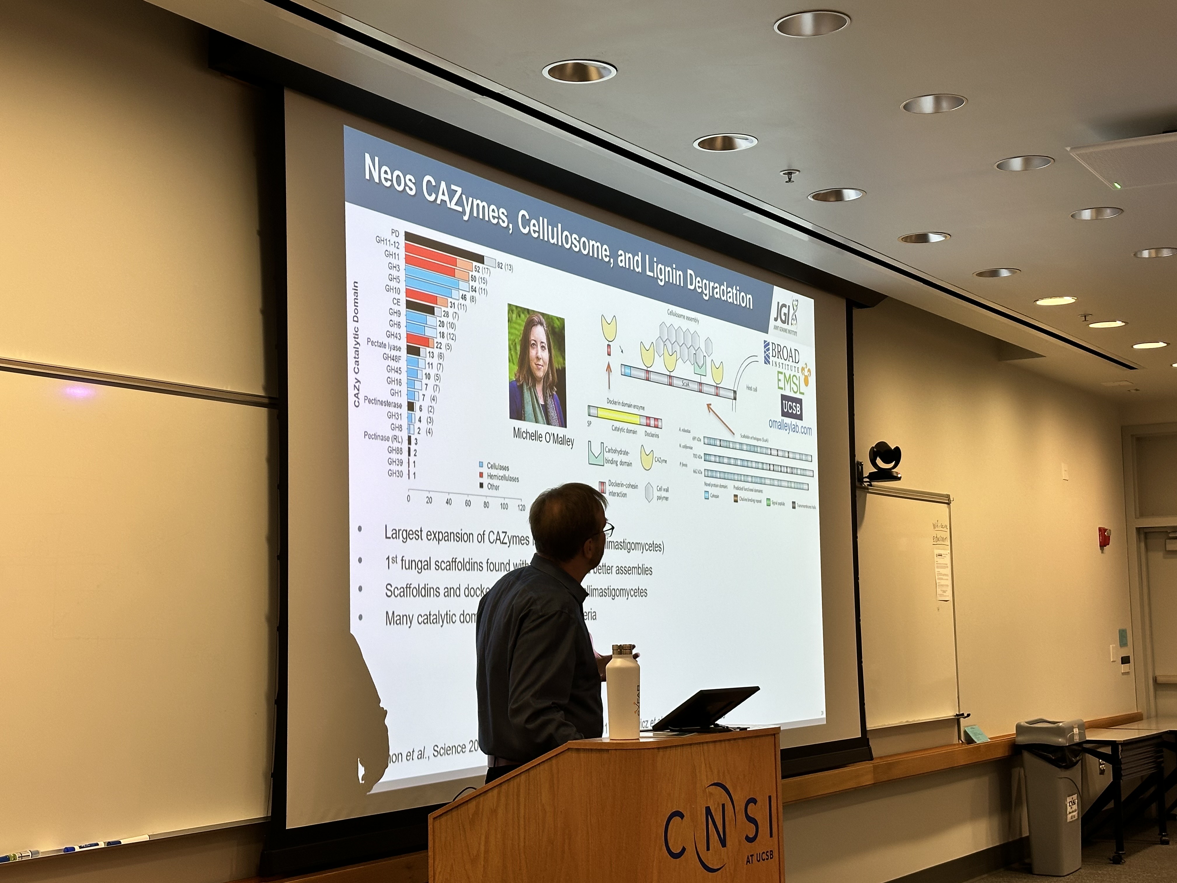 Igor Grigoriev standing in front of projector 