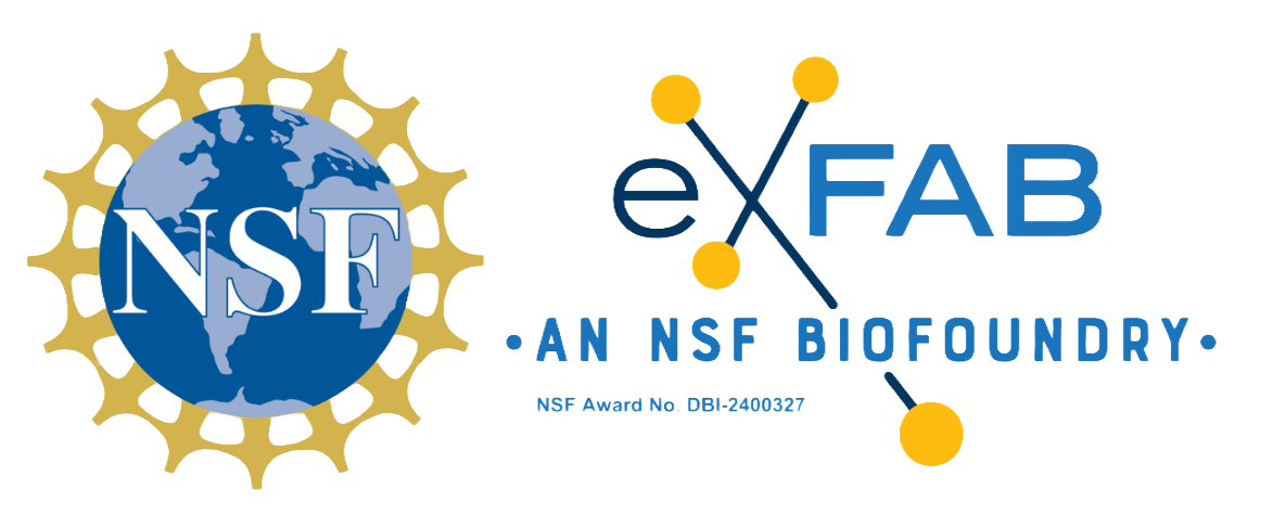 NSF+ExFAB Combined Logo (PNG)