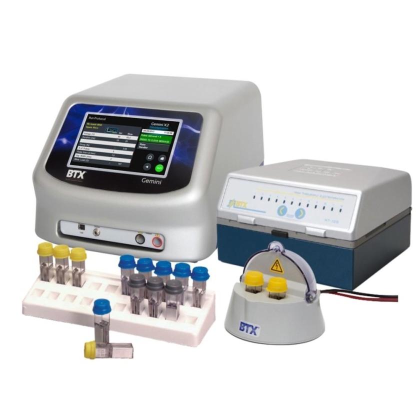 BTX Gemini X2 HT System