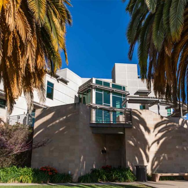 Elings Hall surrounded by palm trees 